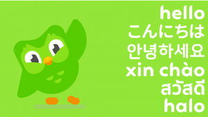 16- 40 Bahasa Duolingo